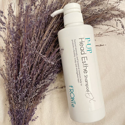 ピーアップ　ヘッドエステシャンプーEX