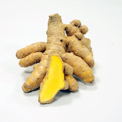 春ウコン「ワイルドターメリック(WILD TURMERIC)」